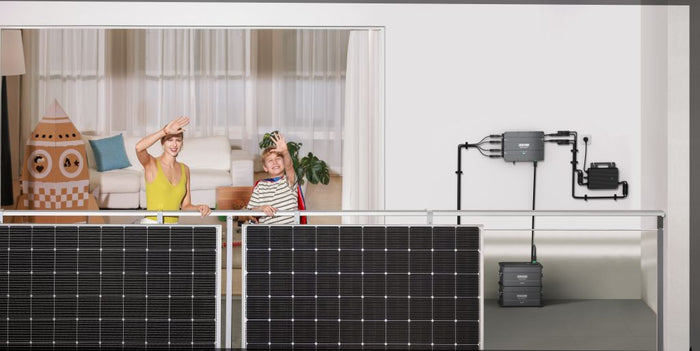 Wie viel kostet das Balkonkraftwerk? Ist es den Preis wert?